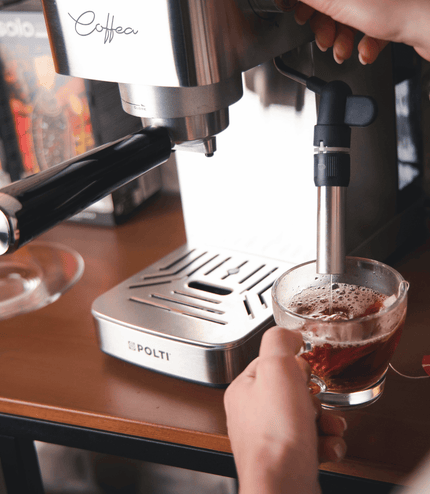 POLTI aparat za espresso kavu Coffea P10S